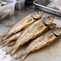 Whole Fresh Sardines Ocean Catch