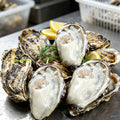 Fresh Raw Oysters Half Shell
